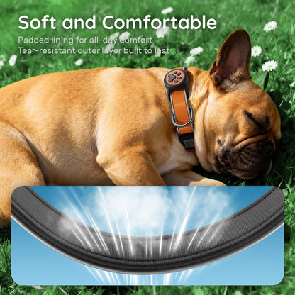 Airtag Dog Collar, IPX8 Waterproof Air Tag Dog Collar Holder | Reflective Ultra-Durable | Soft Padded | Safety Locking Buckle | Fit Miedium Dogs (Orange M(12.6"-19.6"))