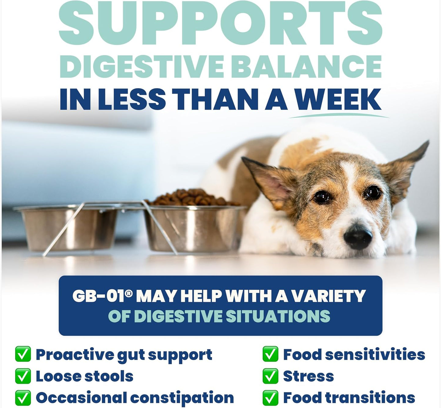 Jope Synbiotic GB-01® - Prebiotics and Probiotics for Dogs & Cats - Clinically Proven Formula - Vet Formulated for Gut Health, Stool Quality, Diarrhea, Immunity, Skin & Coat - 30 Gut Powder Capsules