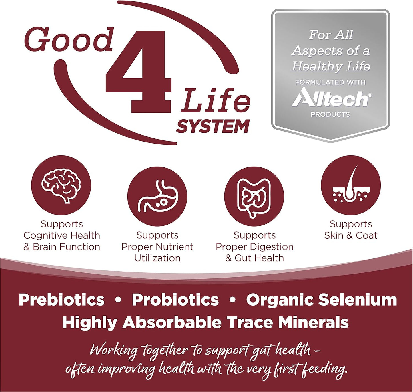 NutriSource Dry Dog Food, Beef and Rice, 26LB