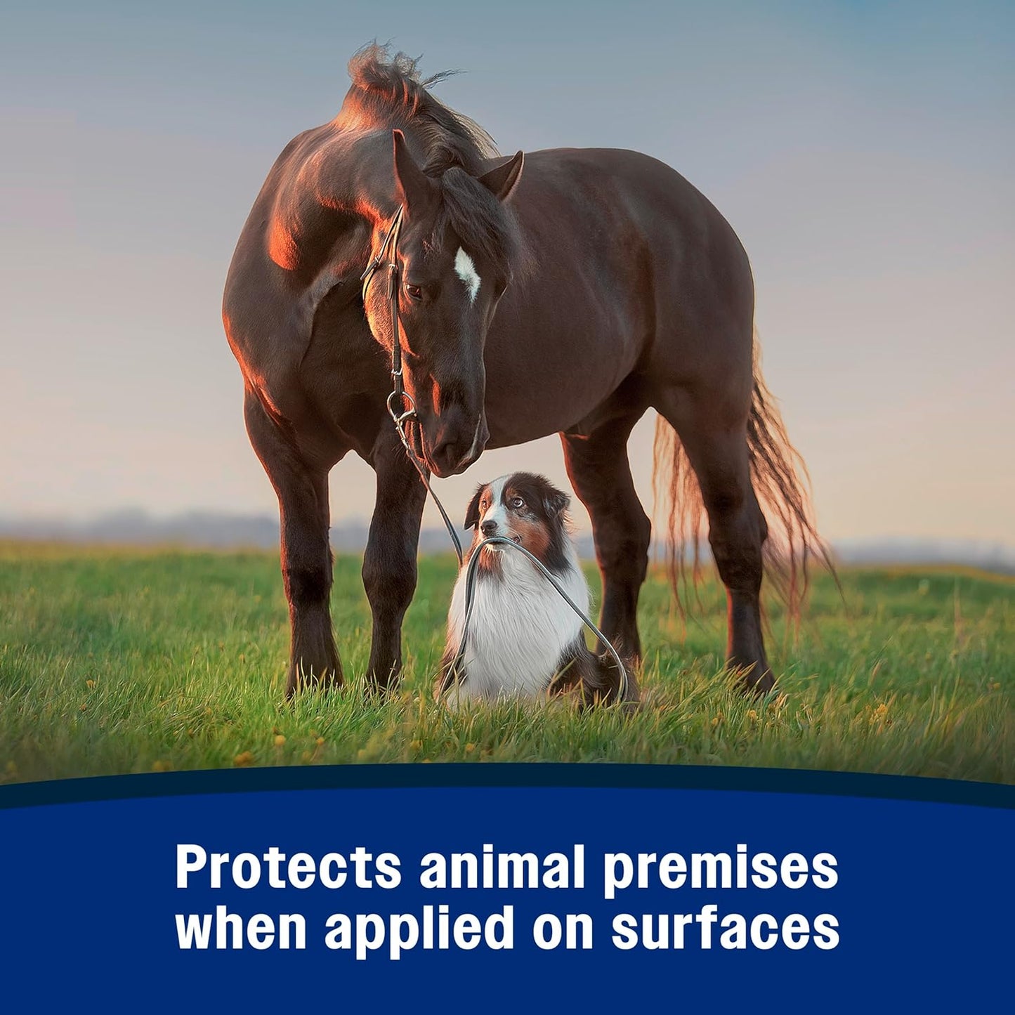 Farnam Repel-X Insecticide & Repellent Water-based Fly Spray for Horses, Dogs and Premises, 32 Ounces