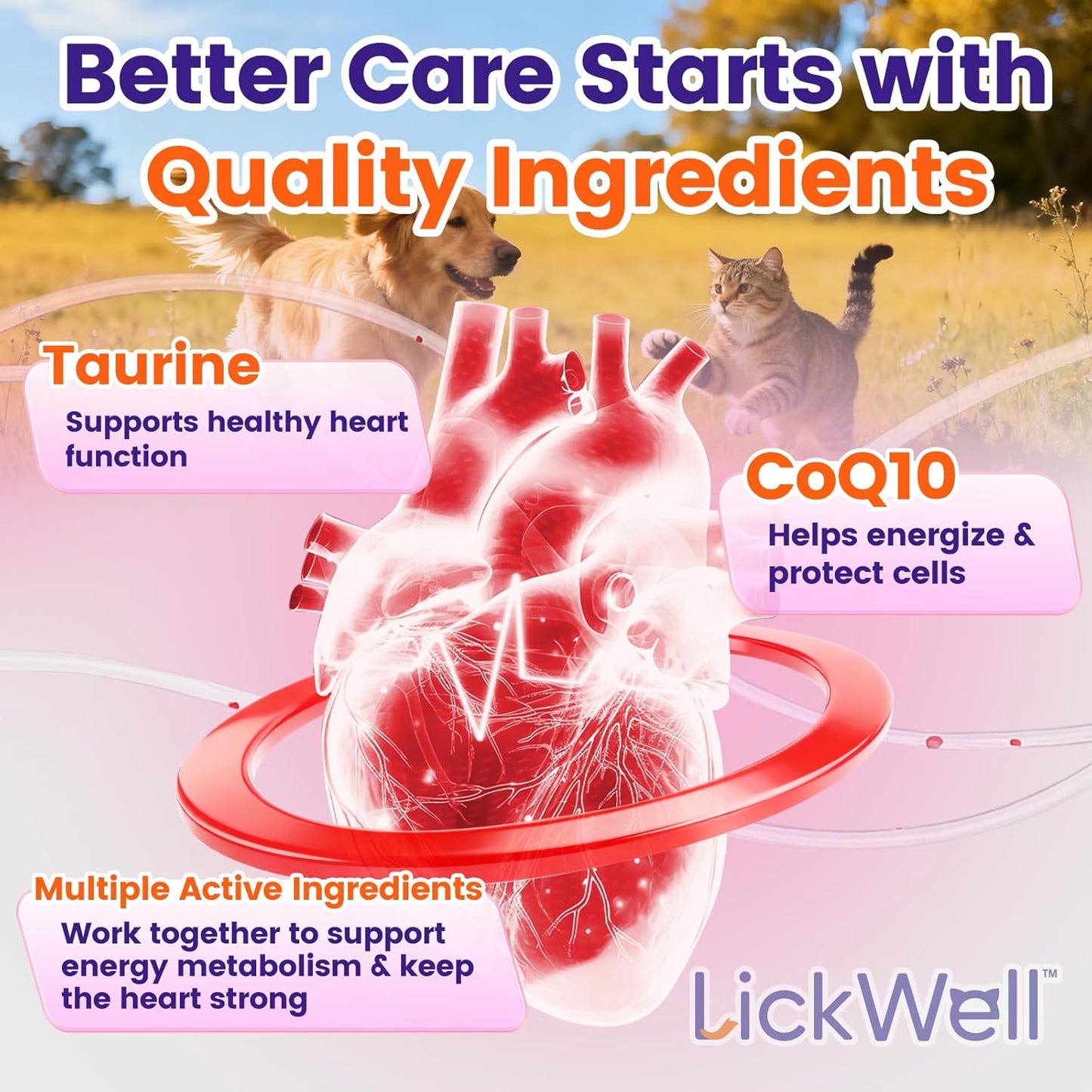 CoQ10 for Dogs, Coenzyme Q10 Heart & Cardiovascular Support Supplement for Dogs Cats, with Taurine & Chicken Liver Powder, Promotes Heart Health, Cognitive and Energy Support - 120 Capsules