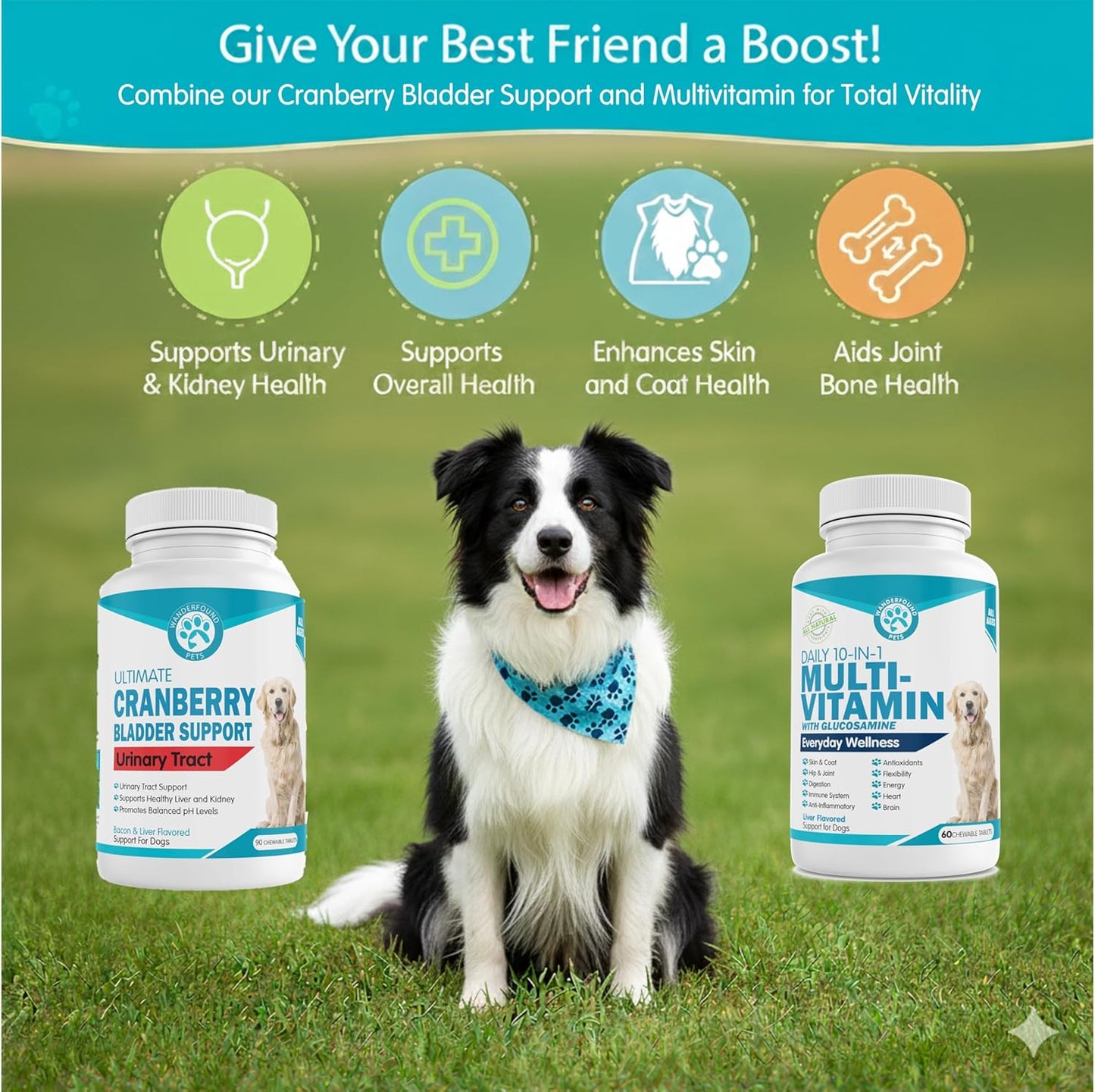 Cranberry Bladder Support + Multivitamin for Dogs Bundle - Ultimate Bladder Support