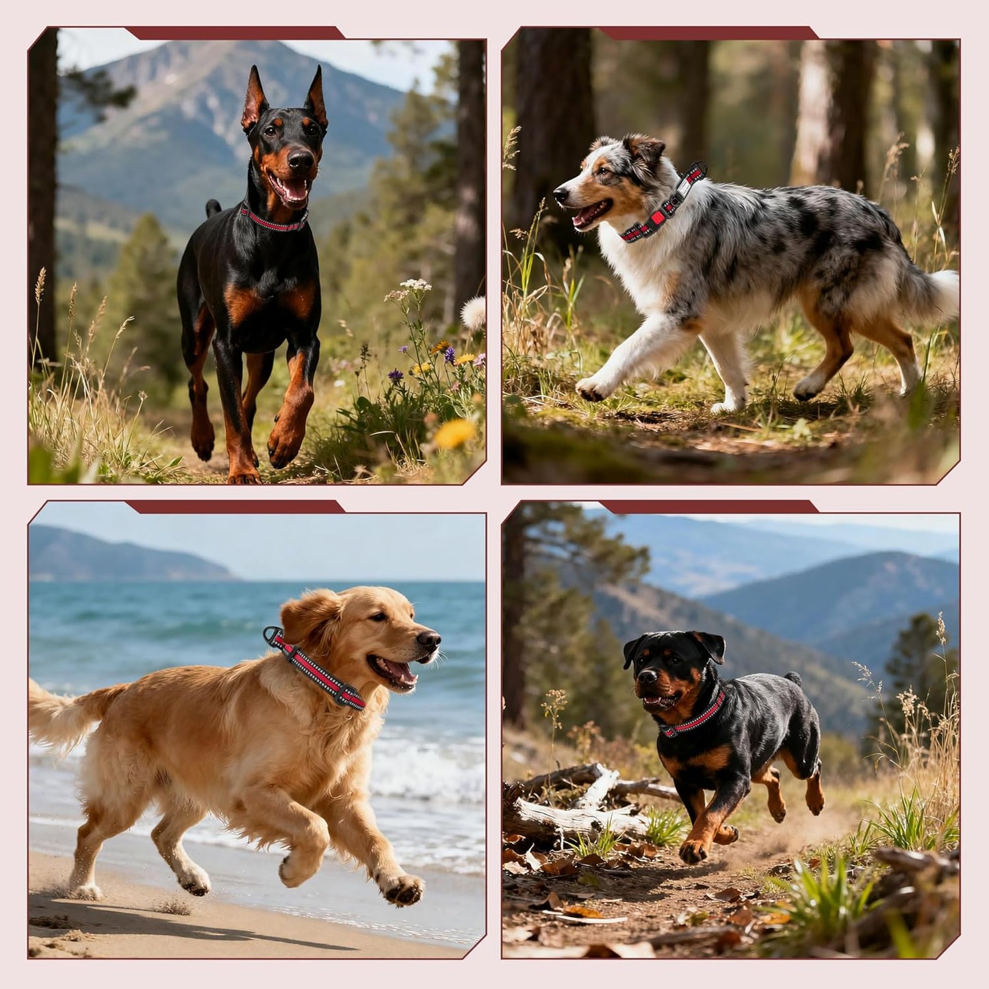 Martingale Collar for Dogs Reflective Collar with Quick Release Buckle, Adjustable Nylon Collars for No Slip Dog Collar, Red, M