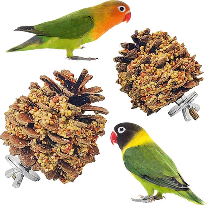 kathson Parakeet Treats, 2 Pcs Pine Cone Bird Chew Toys with Natural Grains, Parrot Snacks Bird Molar Toy Cage Enrichment Foraging Toys for Cockatiels Conures Lovebirds Budgies