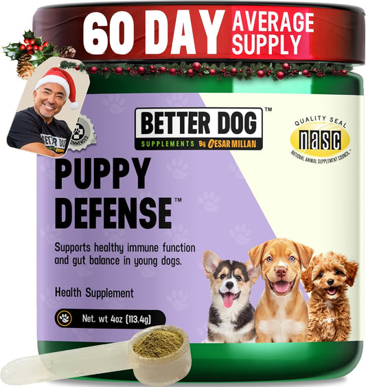 Better Dog Supplements Puppy Defense by Cesar Millan – Natural Immune Support Powder for Young Dogs – Immunity, Gut Balance, Digestive Health & Early Wellness – 4oz, (60-Day Supply)