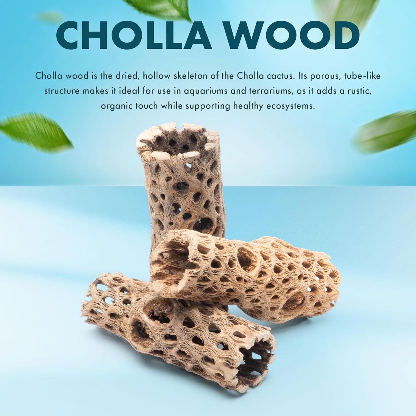 SubstrateSource Natural Cholla Wood - Driftwood for Aquariums, Air Plant Base, Hermit Crab and Freshwater Shrimp Hideout, Fish Tank Decoration, Chinchilla Chews, Reptile Habitat Wood - 4 Inch, 3pc