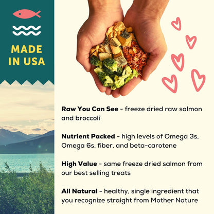 A Better Dog Food | Salmon Dry Dog Food | Raw You Can See | High Protein Kibble + Freeze Dried Raw Dog Food