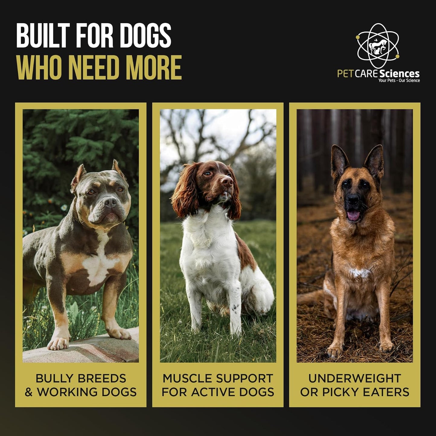 Dog Weight Gainer - Weight Gain Supplements for Dogs - Canine and Dog Muscle Builder - Made in The USA - 30 Servings