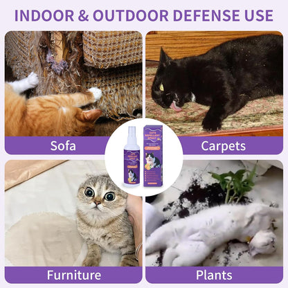 Cat Scratch Deterrent Spray, Cat Repellent Spray Indoor and Outdoor for Cat and Kitten, No Scratch Spray Training Aid for Furniture, Sofas, Curtains - Non-Toxic, Alcohol-Free Formula