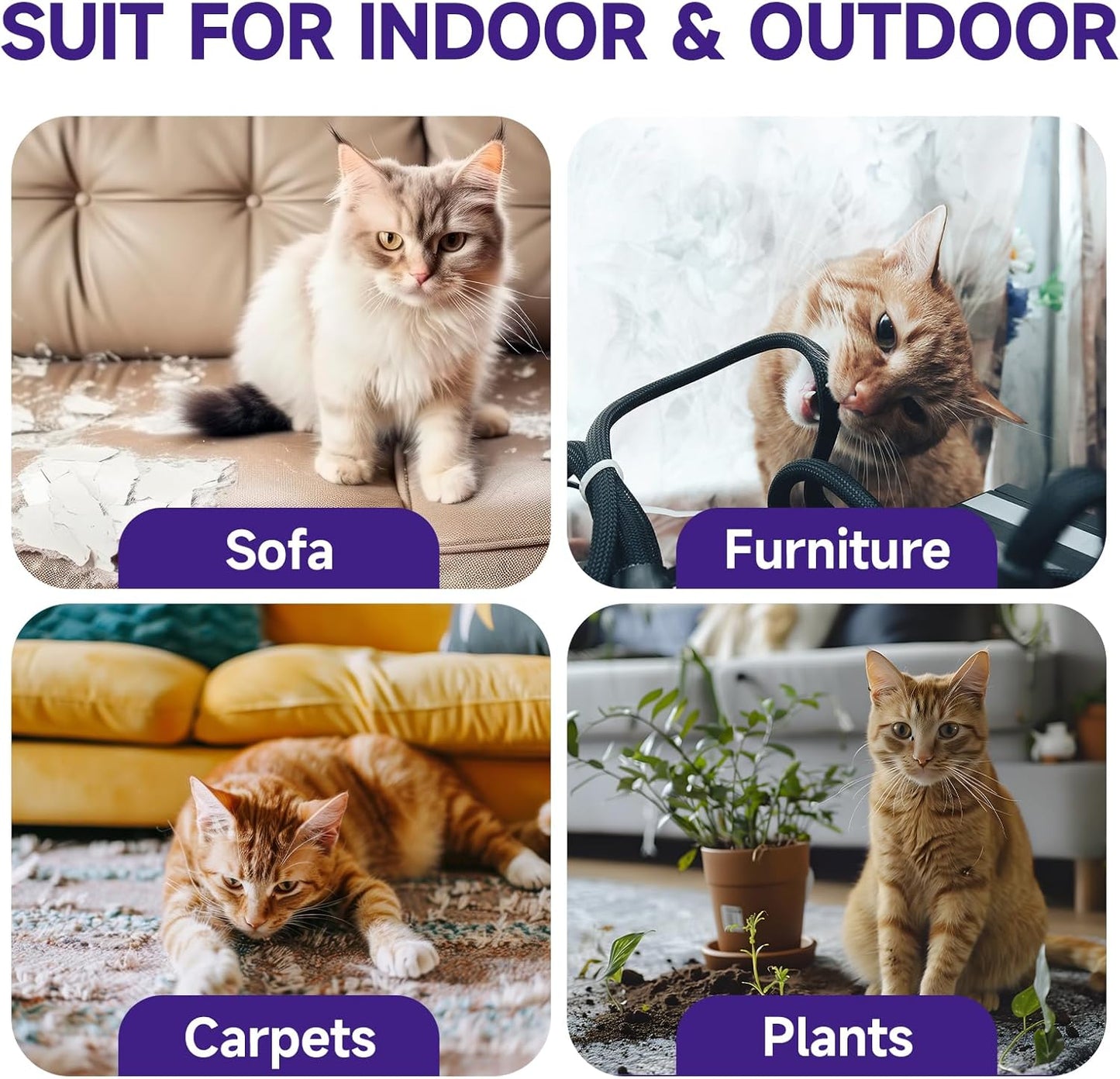 Cat Deterrent Spray, 6.76 FL Oz Natural Cat Repellent Spray Indoor & Outdoor, Anti-Scratch Training Aid for Furniture, Sofas, Rugs, Curtains, Plants - Non-Toxic, Alcohol-Free Formula