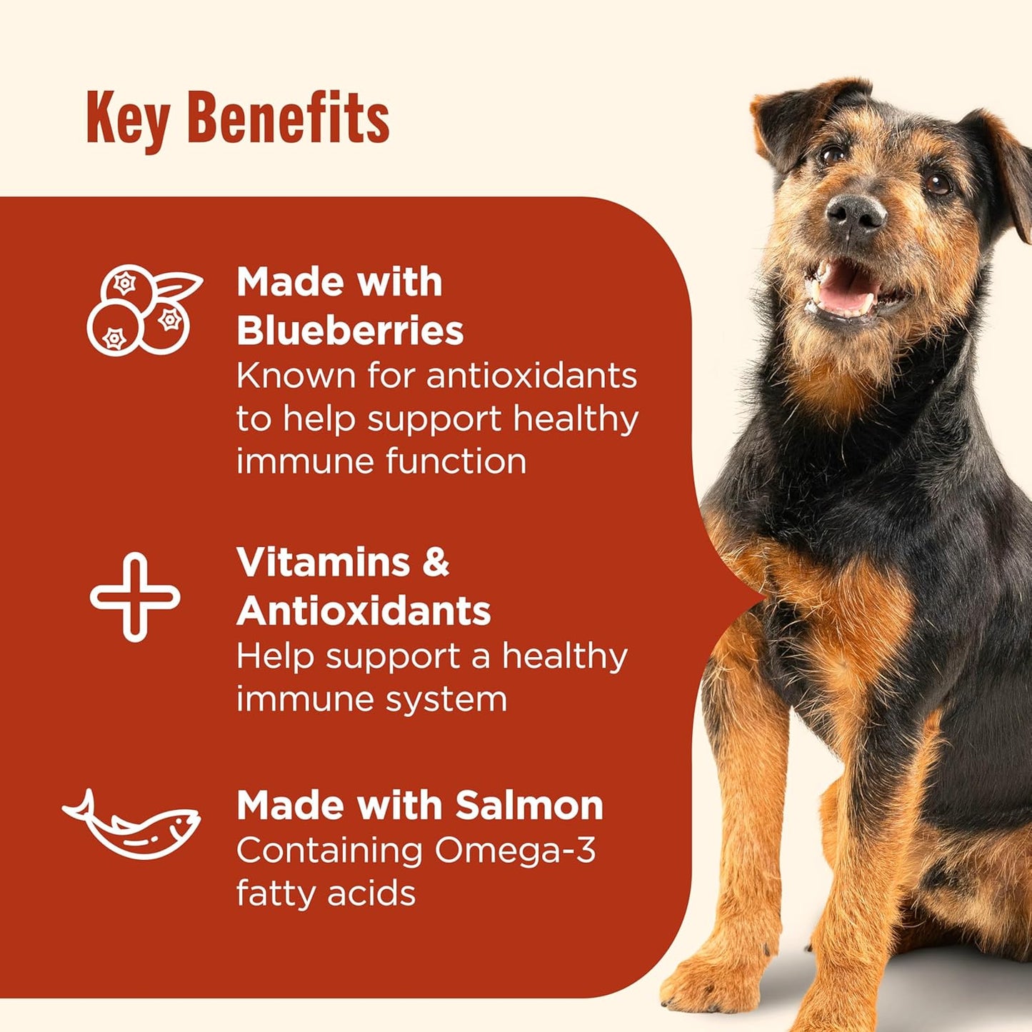 Nutrish Everyday Immune Support Dry Dog Food Chicken, Salmon, Blueberry & Pumpkin Recipe, 5.5 lb. Bag, 4 Count (Rachael Ray)