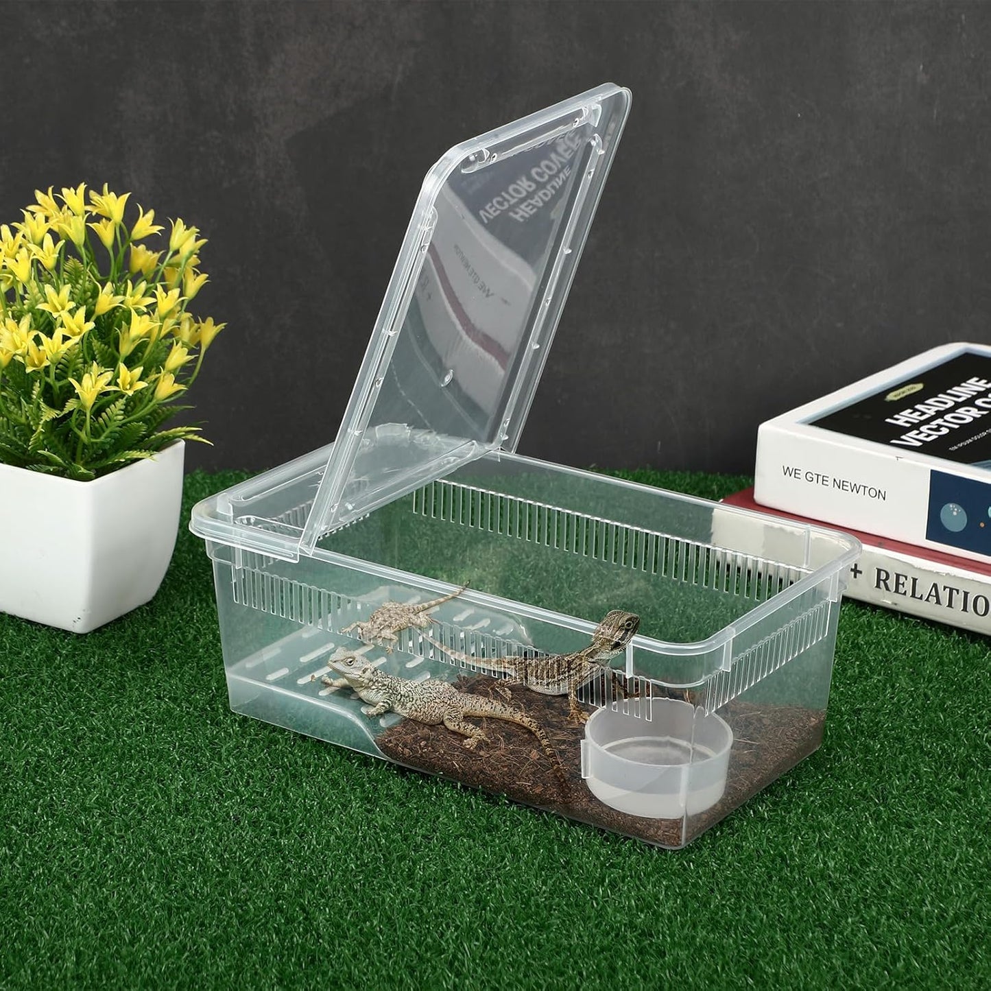 Irenare 8 Pcs Reptile Breeding Box Plastic Spider Terrarium Tarantula Feeding Box for Bearded Dragon Lizard Spider Gecko Scorpion (Vent Strips,Clear,8.6 x 5.1 x 3.1 Inch)