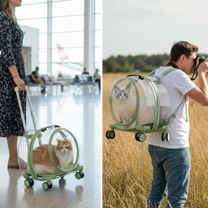 Transparent Hard Cat Carrier with Rolling Wheels, Fully Breathable & Multiple Carrying Options for Dogs, Cats & Bunny – Travel & Walk Friendly (Green)