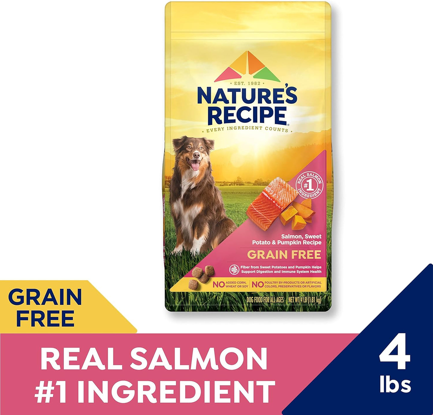 Nature's Recipe Grain Free Dry Dog Food, Salmon, Sweet Potato & Pumpkin Recipe, 4 lb. Bag