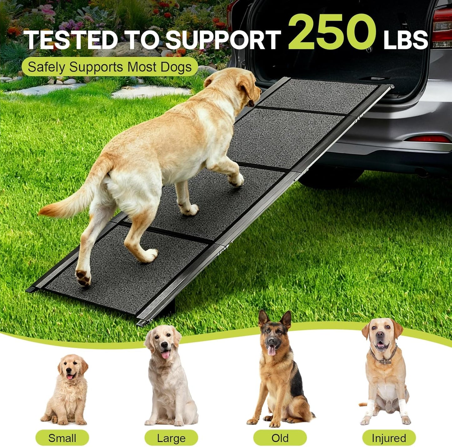𝟕𝟏'' & 𝟐𝟎" Wide Dog Ramp for Large Dogs, Holds 250LBS & Gentle Slope for Joint Care - Dog Car Ramp with Upgrade Non-Slip Surface - Portable Folding Pet Ramps for Senior Pets Enter into SUV, Truck