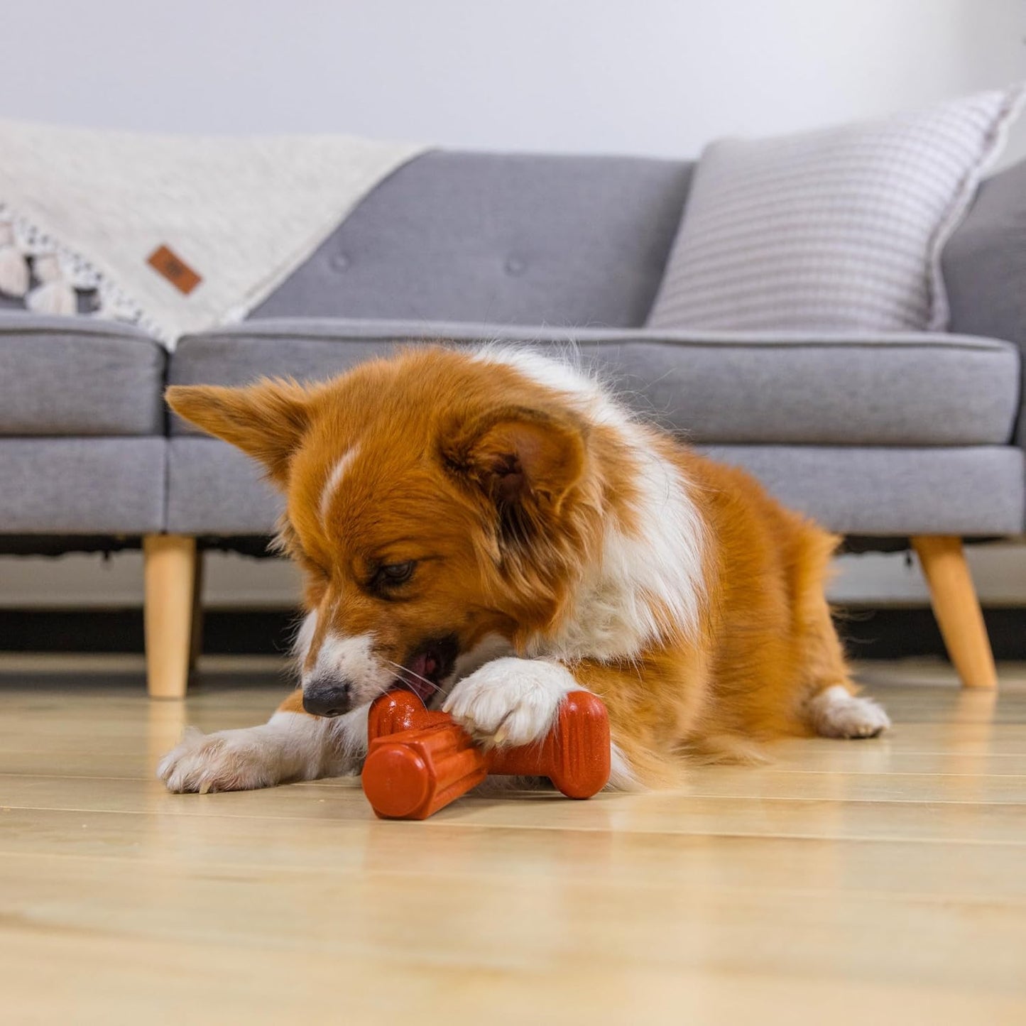 Outward Hound Dogwood Hold & Chew Durable Dog Chew Toy, Beef Scent, Large