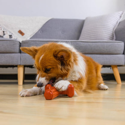 Outward Hound Dogwood Hold & Chew Durable Dog Chew Toy, Beef Scent, Large