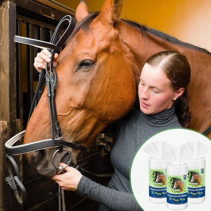 3 Pack Horse Bit Wipes 120 Pcs Peppermint Horse Bit Cleaners for Happy Horse Disposable Cleaning Wipes for English or Western Bits