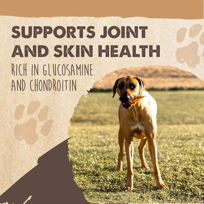 Mighty Paw Half Pig Ears for Dogs - All Natural, Single Ingredient Treats. Better Than Rawhide Pet Snacks for Small and Large/Medium Pets. Pigs Ear Dogs Chews (6lb)