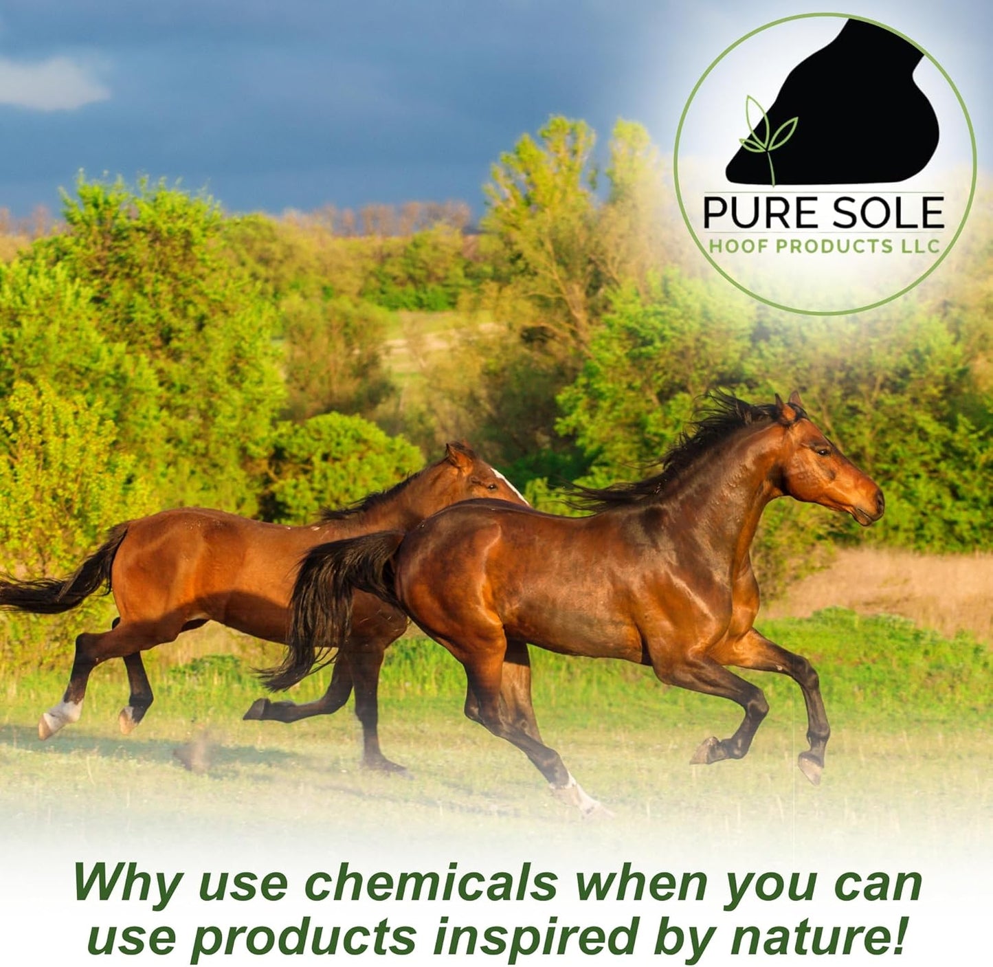 Thrush Treatment for Horses - Pure Sole Thrush Dust (2 oz.) Bundle + Pure Sole Hoof Cleanse (16 oz.)