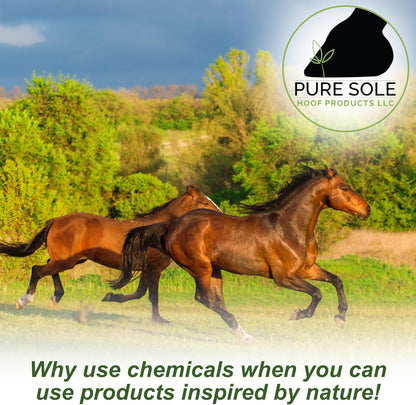 Thrush Treatment for Horses - Pure Sole Thrush Dust (2 oz.) Bundle + Pure Sole Hoof Cleanse (16 oz.)