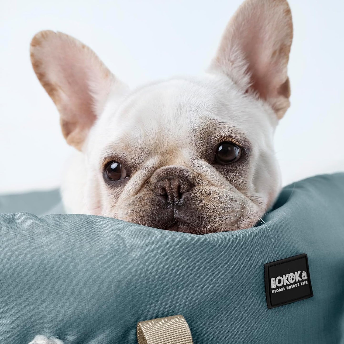 Dog Booster Car Seat for Small Dogs with Heavy Duty Safety Belt and Lock, Waterproof Detachable Dog Travel Bed for Car with Storage Pocket Up to 25lbs, Memory Foam Filling for Max Support