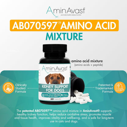 AminAvast Dog Kidney Supplement - Supports Natural Kidney Function - Promotes Health & Vitality of Aging Kidneys - Pet-Friendly, 1000mg, 60 Capsules.