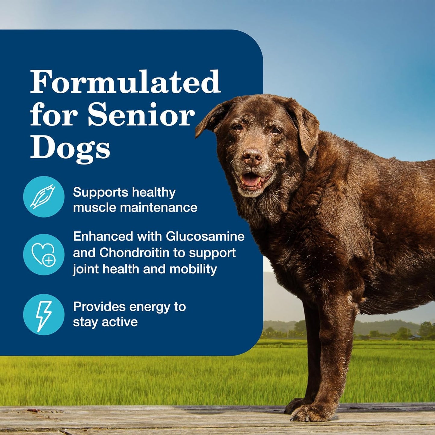 Blue Buffalo Homestyle Recipe Senior Wet Dog Food, Made with Natural Ingredients, Chicken Dinner with Garden Vegetables, 12.5-oz Cans (12 Count)