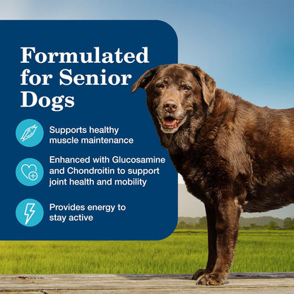 Blue Buffalo Homestyle Recipe Senior Wet Dog Food, Made with Natural Ingredients, Chicken Dinner with Garden Vegetables, 12.5-oz Cans (12 Count)