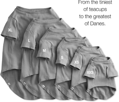 Toby 3-Pack 100% Organic Cotton Dog Short Sleeve T-Shirt Pet Tees for All Breeds, Gray Ombre, Medium (20-45 lbs)