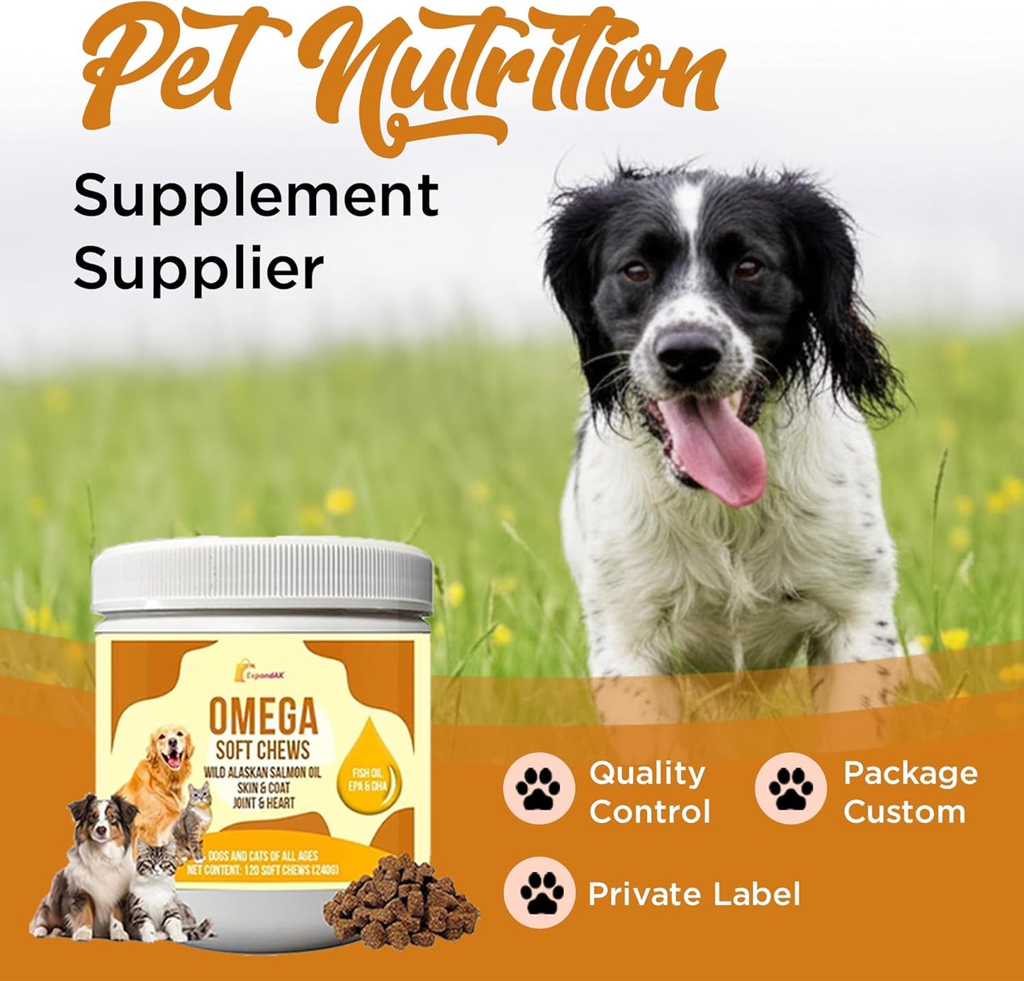 10-in-1 Multivitamin for Dogs – Glucosamine, Chondroitin, Probiotics & Omega 3 Fish Oil – Dog Supplement for Joints, Skin, Coat, Heart & Immune Support – Peanut Butter Flavor – 120 Soft Chews