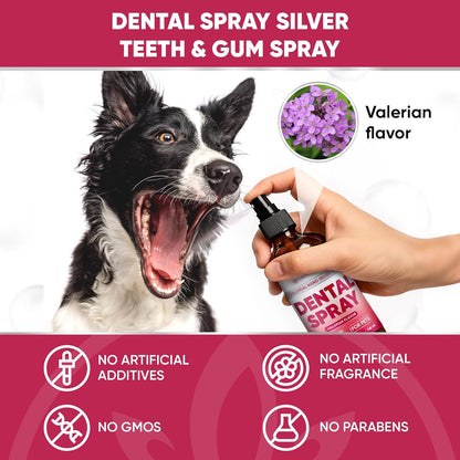 Dental Spray for Pets – Cat & Dog Breath Freshener That Helps with Tartar, Plaque, & Bad Odor – Silver 50 PPM + Valerian Flavour for Dog Teeth Cleaning – 4 Oz