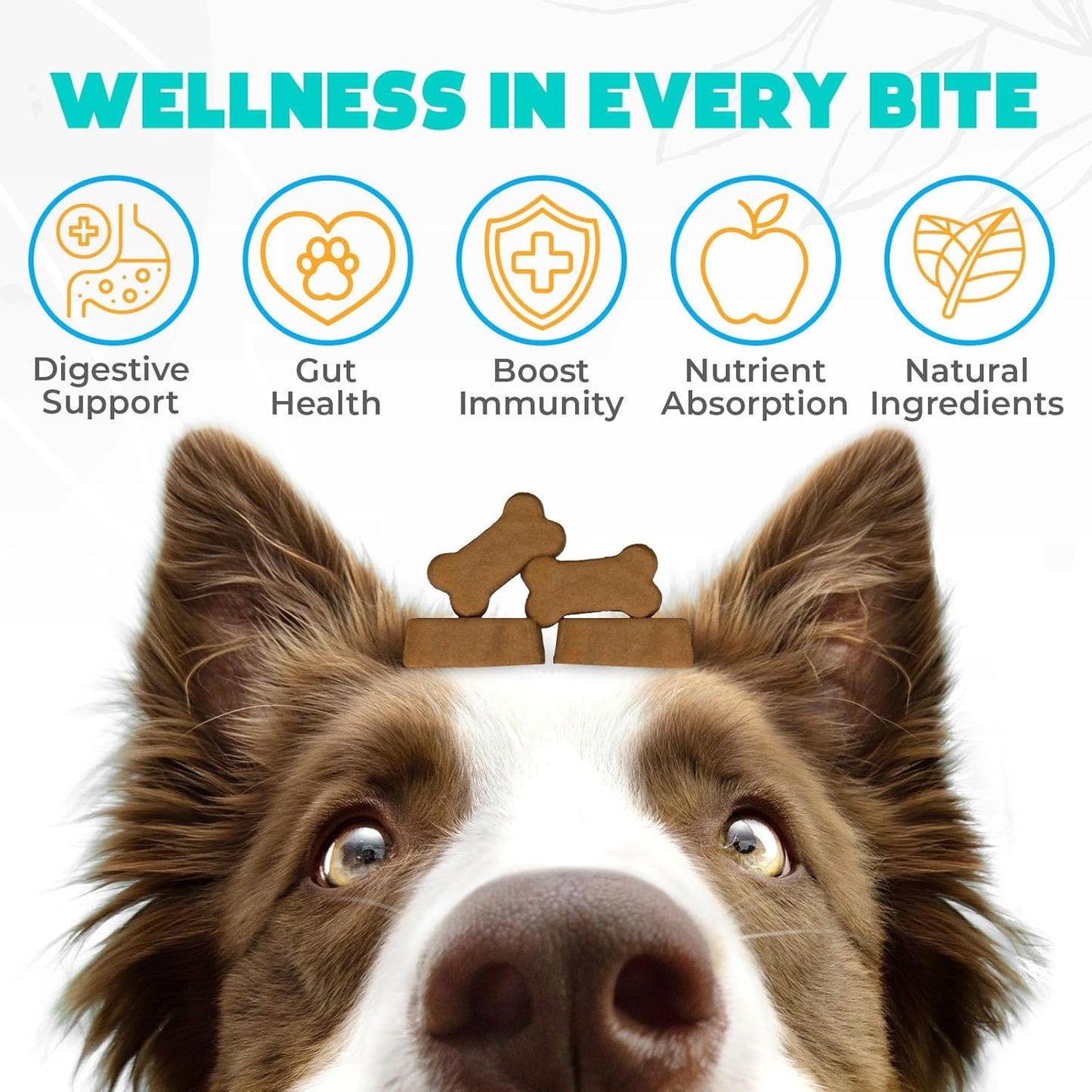 Probiotics for Dogs Chews 150 pcs - Probiotic Chews for Dogs with Enzymes & Natural Ingredients - Digestive & Gut Health Support - US Formula - Chicken Flavored