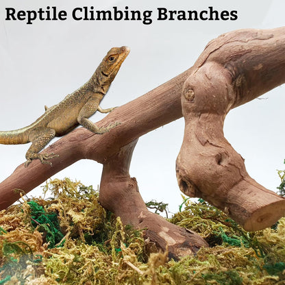 VCEPJH Snake Climbing Branch, 2Pcs Reptile Wood Natural Cork Log and 4 Pcs Reptile Plants, Climbing Wood Branch Terrarium Hanging Fake Plant Leaves for Snake Leopard Gecko Lizard Chameleon