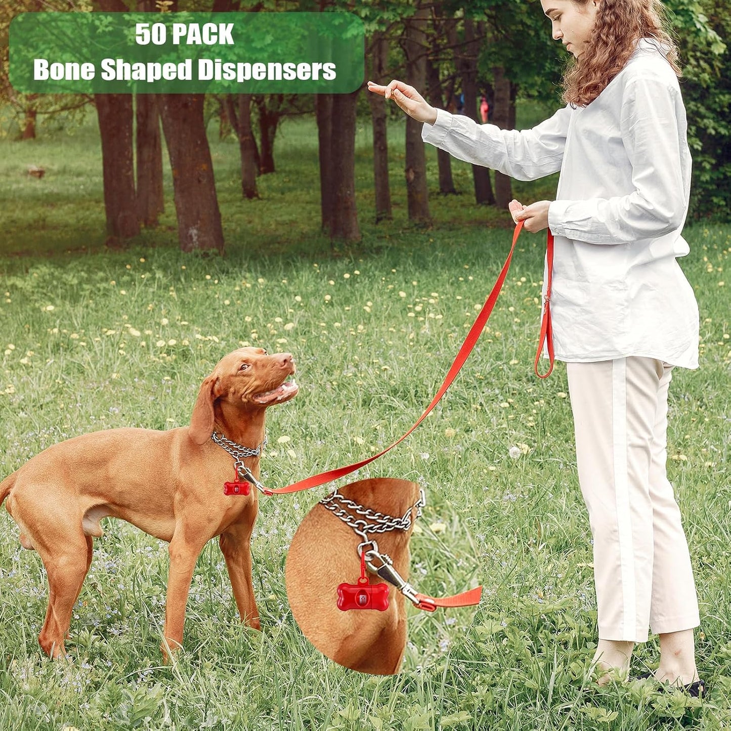 50 Pcs Bone Shape Dog Poop Bag Dispenser with Leash Hook Plastic Leak Proof Pet Waste Bag Holder for Walking Hiking Camping, 5 Colors