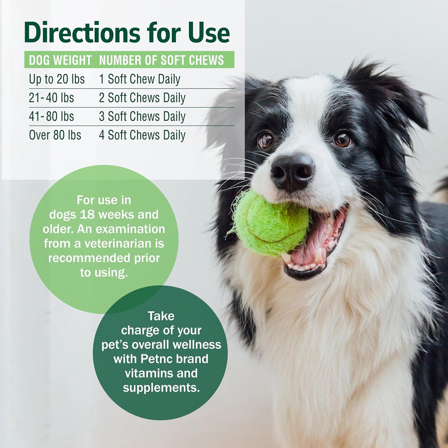 Petnc Natural Care Dog Skin and Coat Supplement (60 Chewables), With Omega 3, EPA & DHA, Promotes Healthy Skin & Glossy Coat, For Dogs 18 Weeks & Older, Liver Flavor