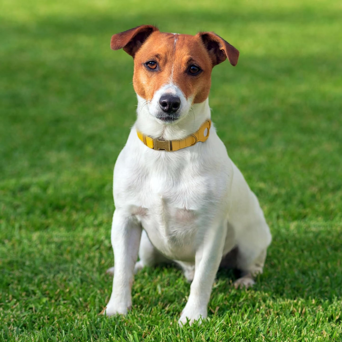 Reflective Leather Dog Collar with AirTag Holder - Soft Apple Airtag Dog Collar with Metal Buckle - Safety Cotton Pet Collars for Dogs Small Large Dogs Puppy (Yellow, XS, 9"-12")