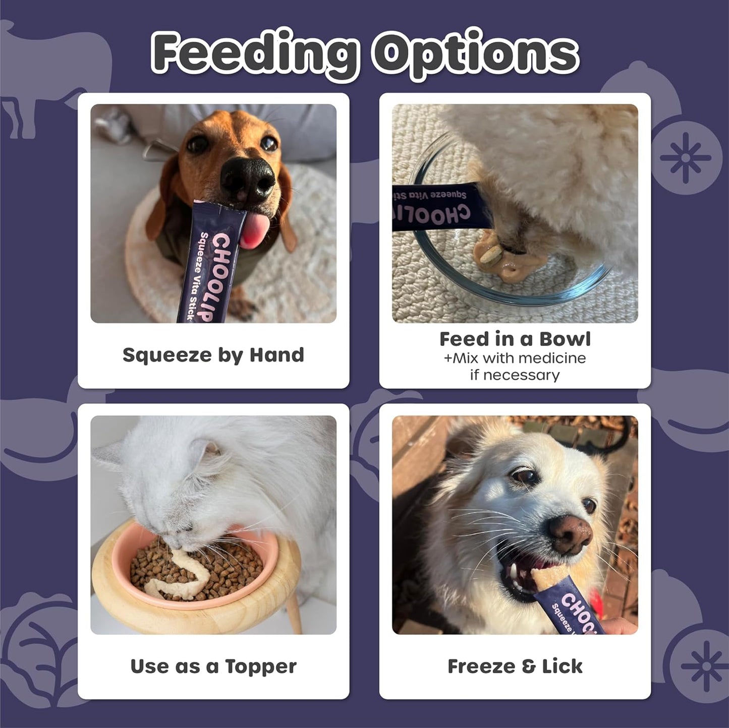 Choolip Bundle | Berry Good Milk 10pk Vitamin-Infused + 49pc Brain Support Squeeze Vita Sticks with Essential multivitamins [Both Products are for Cats & Dogs of All Life Stages]