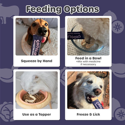 Choolip Bundle | Berry Good Milk 10pk Vitamin-Infused + 49pc Brain Support Squeeze Vita Sticks with Essential multivitamins [Both Products are for Cats & Dogs of All Life Stages]