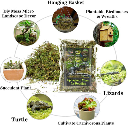 Sukh Sphagnum Moss for Reptiles -Terrarium Moss for Reptiles Peat Moss for Reptiles Habitat Bedding Moss for Snakes Turtle Frog Gecko and Other Reptiles Substrate (30, Ounces)