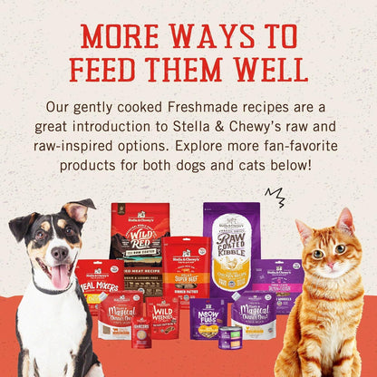 Stella & Chewy's FreshMade Frozen Fresh Grain-Free Beefy-Licious Dog Food, 16-oz Pouch (Pack of 4)