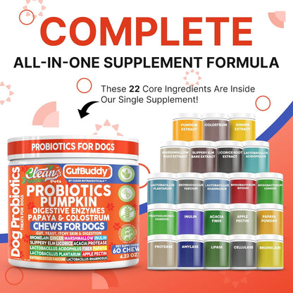 Gut Health Probiotics for Dogs + Pumpkin Colostrum Digestive Enzymes Ginger Slippery Elm Licorice Inulin Fiber Soft Chews Dog Probiotic Beef Flavor Digestion Supplement Treat Bites Large & Small Pets