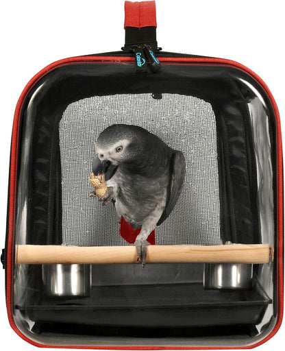 Colorday Lightweight Bird Carrier for Travelers, Bird Travel Cage with Parrot Feeder Cups & Standing Perch and Tracy (Large 19 x 12 x 13 inch, Black)