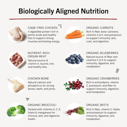 Stella & Chewy's Freeze-Dried Raw Chicken Meal Mixers- Dog Food Topper and Mixer - Made with 95% Cage-Free Chicken, Organs & Bone - Perfect for Picky Eaters - Grain-Free - 3.5oz