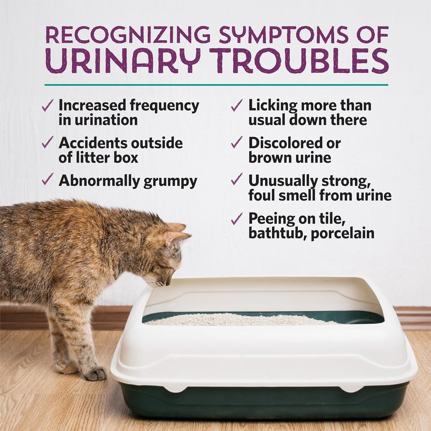 Meowbiotics Kitty P. Freely Cat Urinary Supplement, Cranberry for UTI & Kidney Support Powder Probiotics for Cats, Made in USA (30 Days)