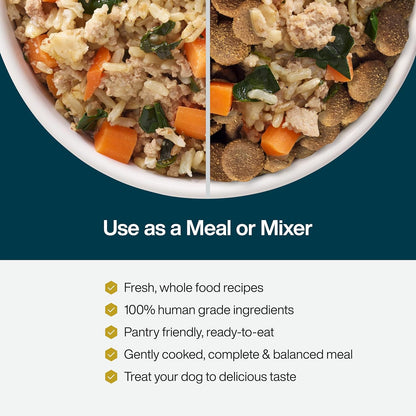 JustFoodForDogs JustFresh Wet Dog Food, Fresh Pet Meals and Toppers with No Preservatives, Resealable Package, Human Grade, Home-Cooked Chicken, 12 oz - 7 Pack