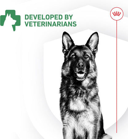 Royal Canin Probiotics for Dogs Digestive and Immune Health Powder Supplement for Dogs of All Ages, 30 Count