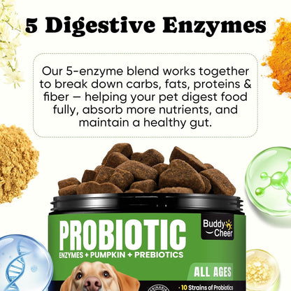 Probiotics for Dogs - Dog Probiotics with 5 Enzymes & 4 Prebiotics for Itchy Skin, Pet Probiotics lab for Digestion & Gut Support, Helps Diarrhea, Yeast Infection, Allergies & Immune System -180 Chews