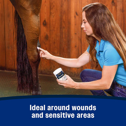 Farnam Swat Fly Repellent Ointment for Wounds, Sores, Scratches and Abrasions, 7 oz