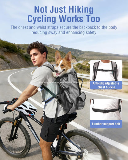 Dog Backpack for Small & Medium Dogs – 4-Layer Safety Pet Carrier with Thick Shoulder Straps, Detachable Waist Bag, Breathable Mesh & Storage Pockets for Travel & Hiking